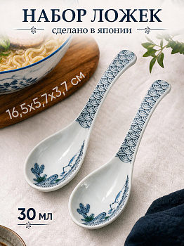 Ложки столовые для мисо-супа 2 шт, 16,5х5,7х3,7 см