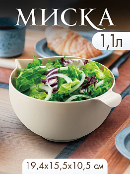 Миска серая с прозрачной крышкой 19,4х15,5х10,5 см, 1,1 л, F2676
