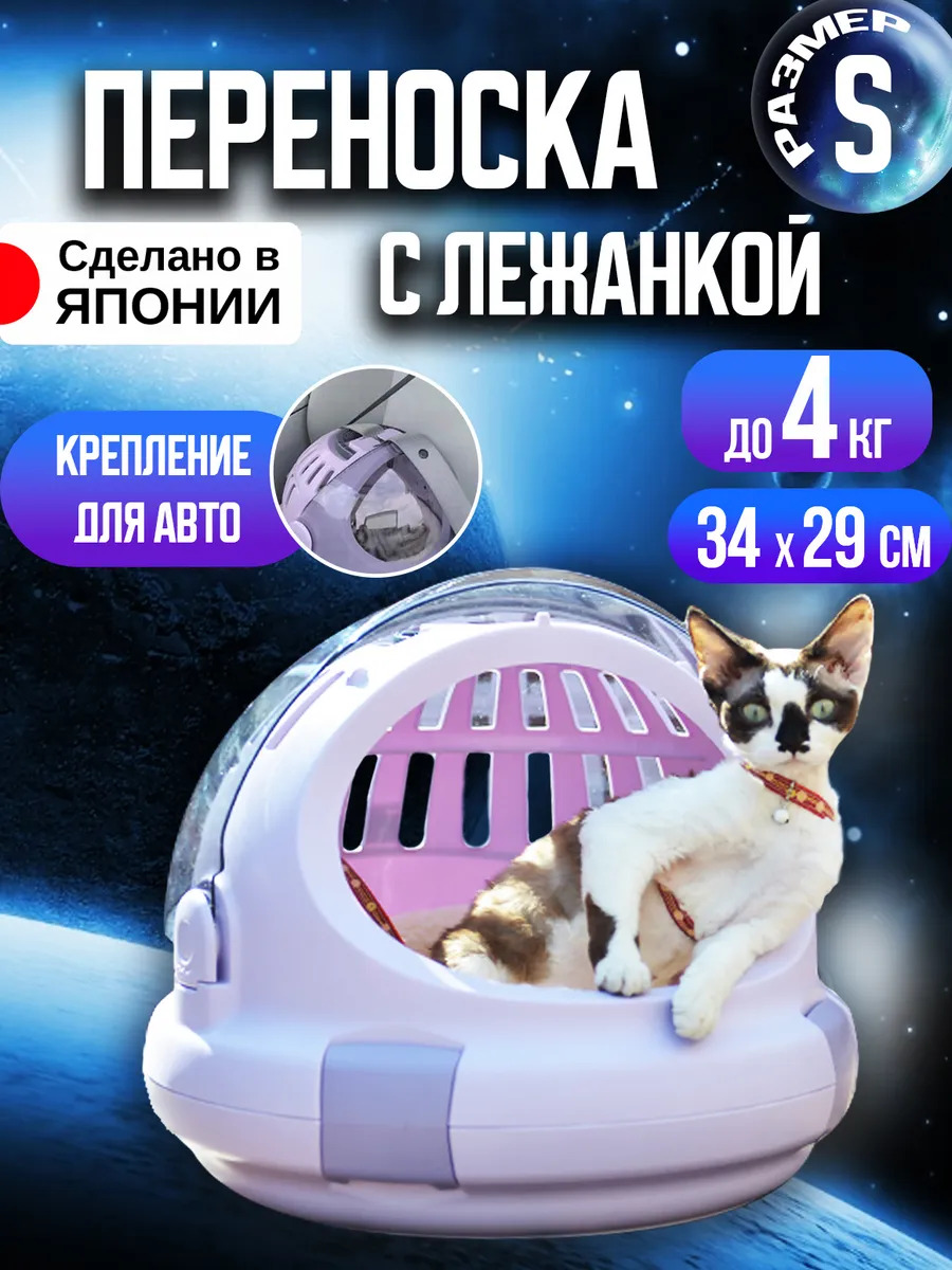 R-562819_1