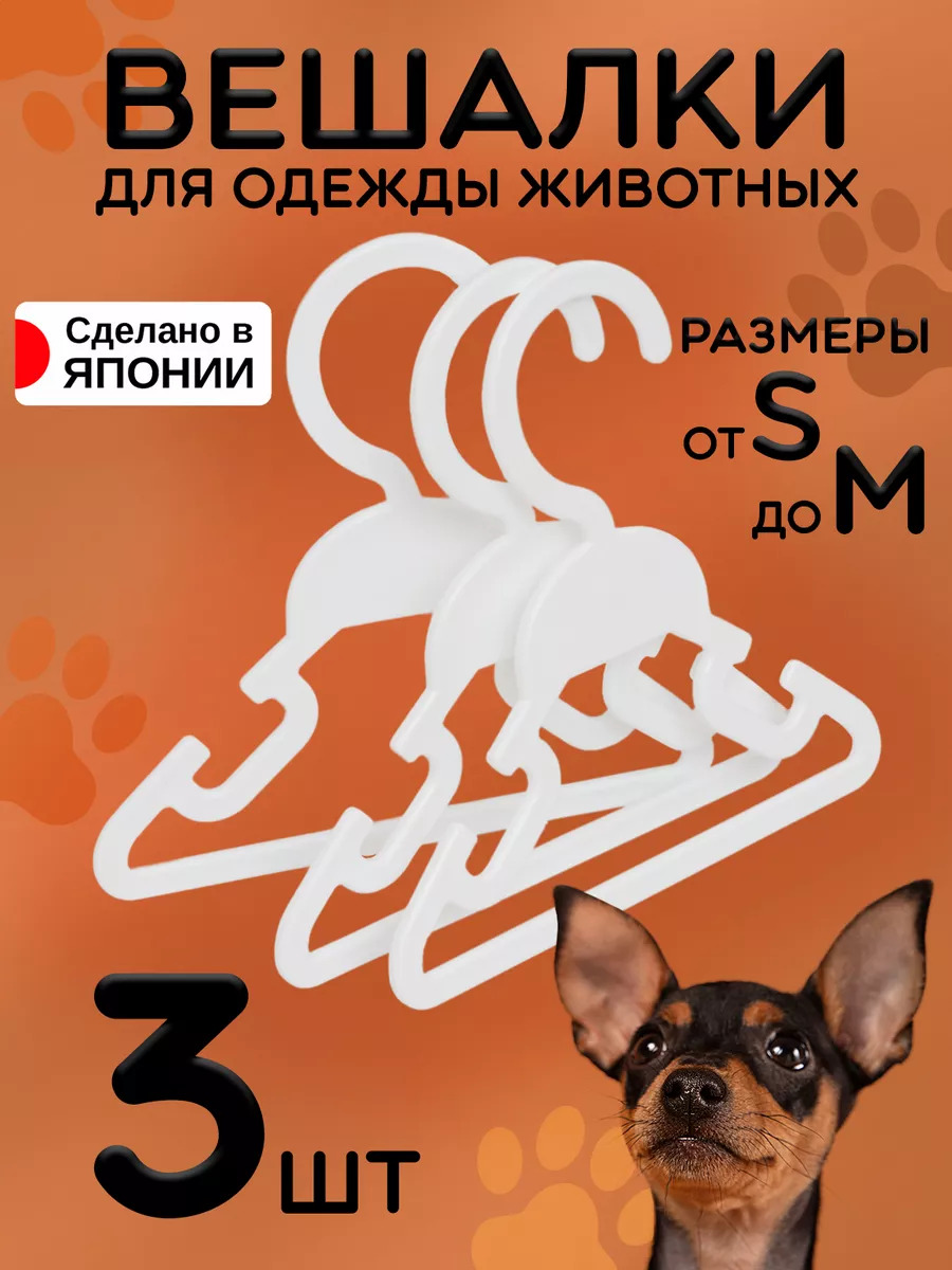 KL-205_1