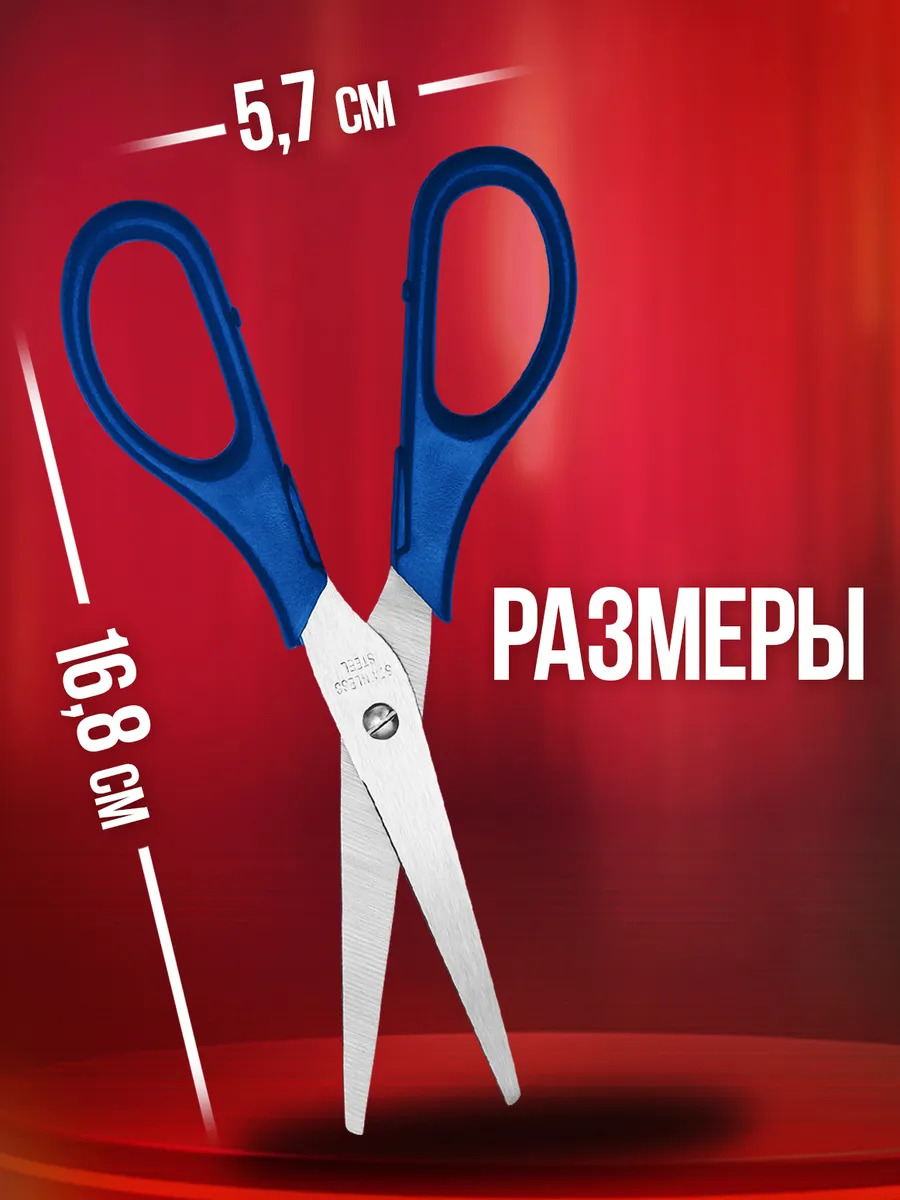 PT-310100-BL_2