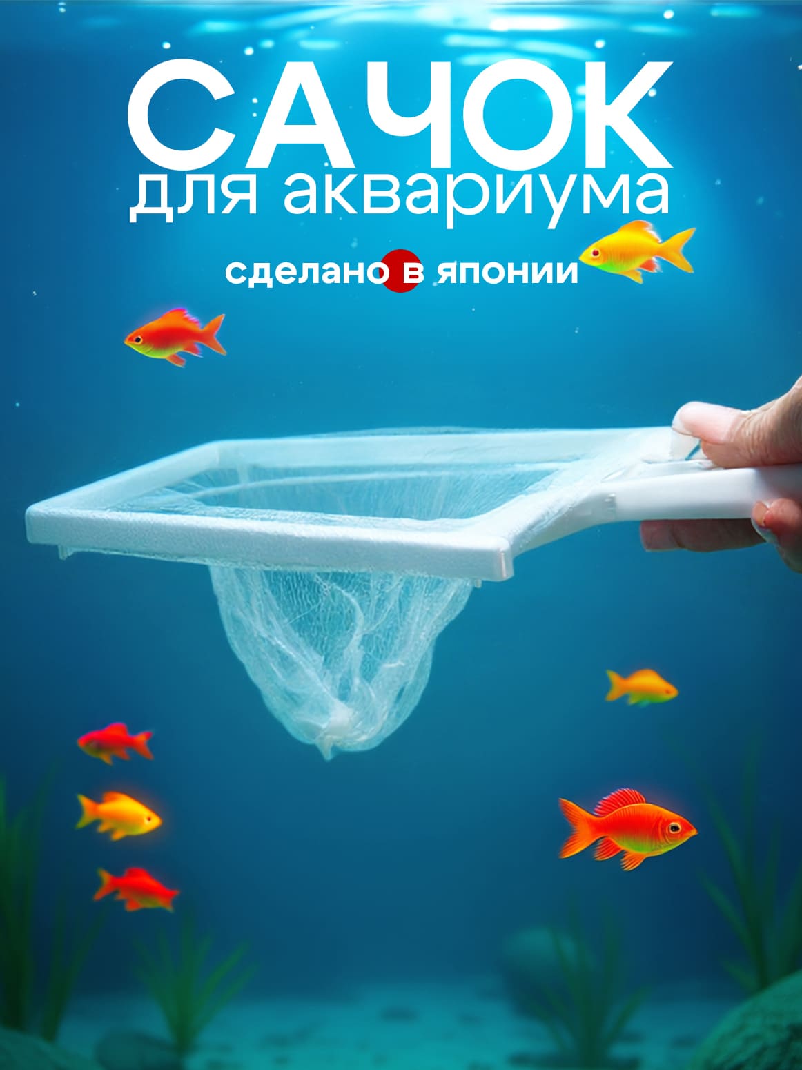 Без имени-1