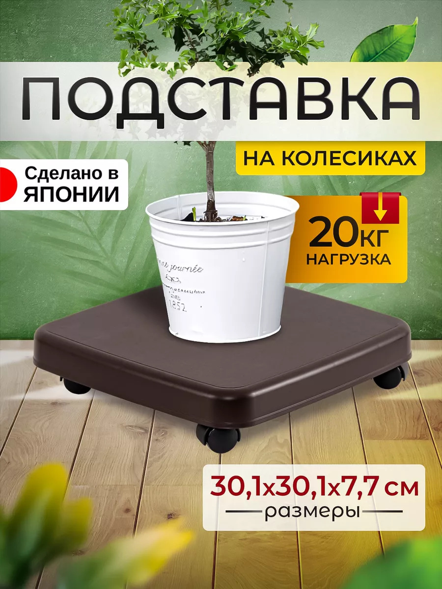 SO-403988_1