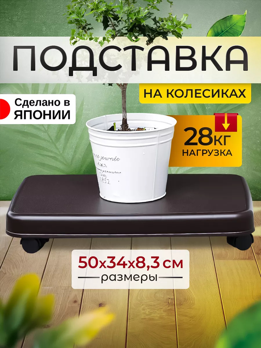 SO-425089_1