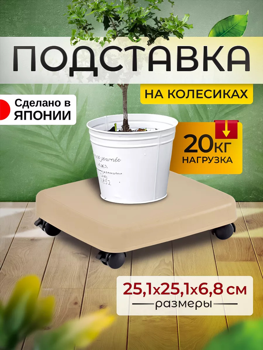 SO-403841_1