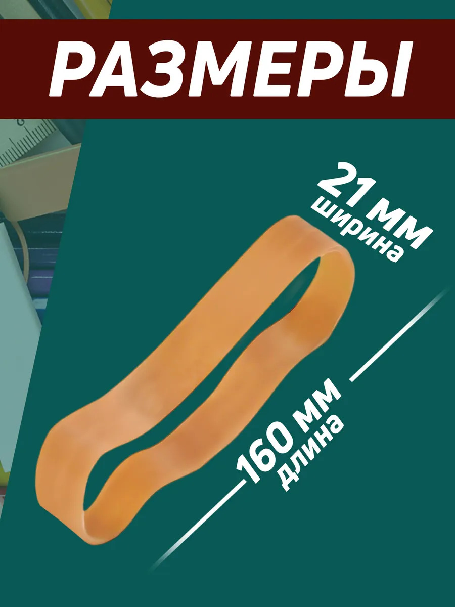 PT-204016_2