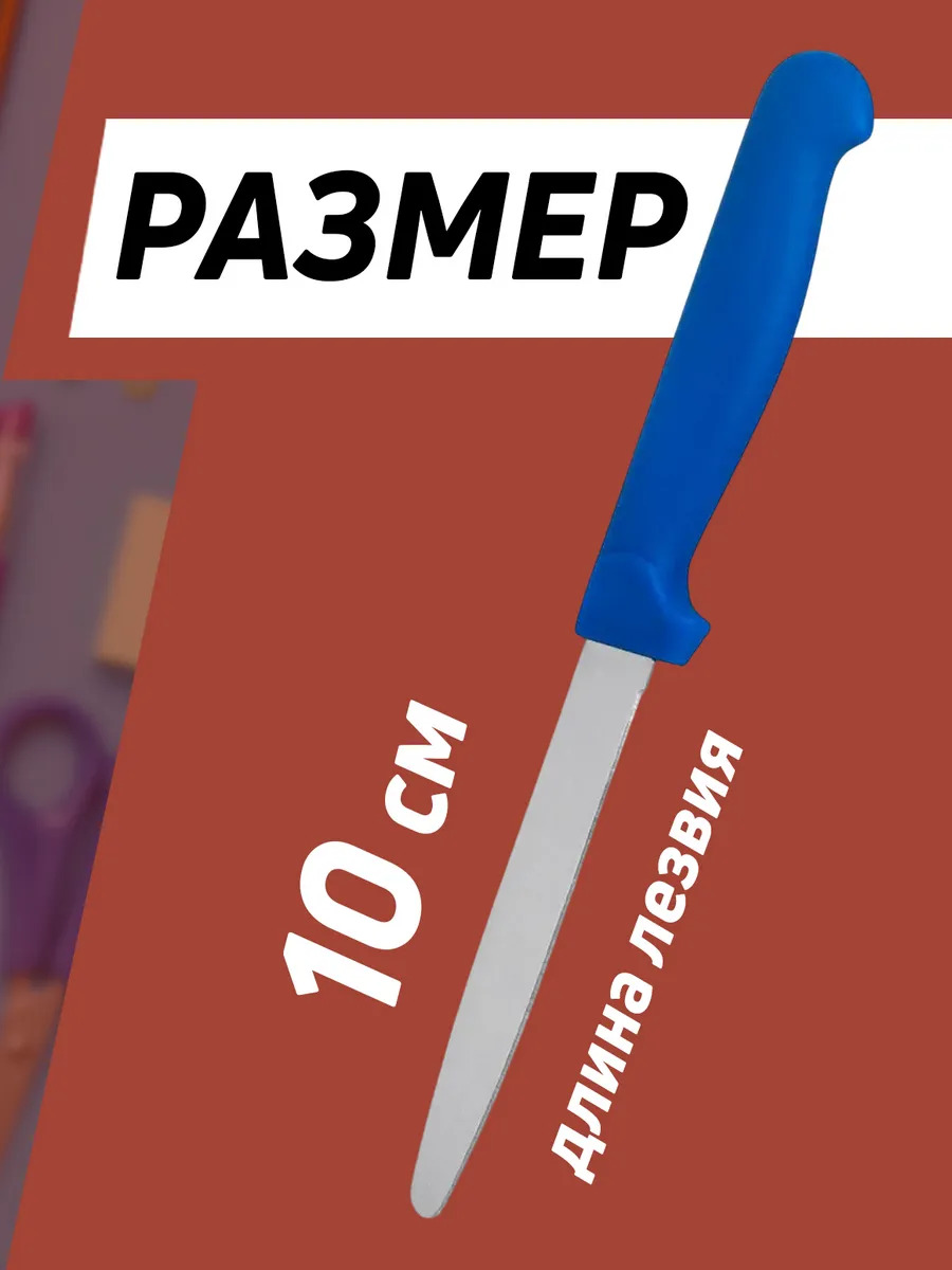 PT-296596-BL_2