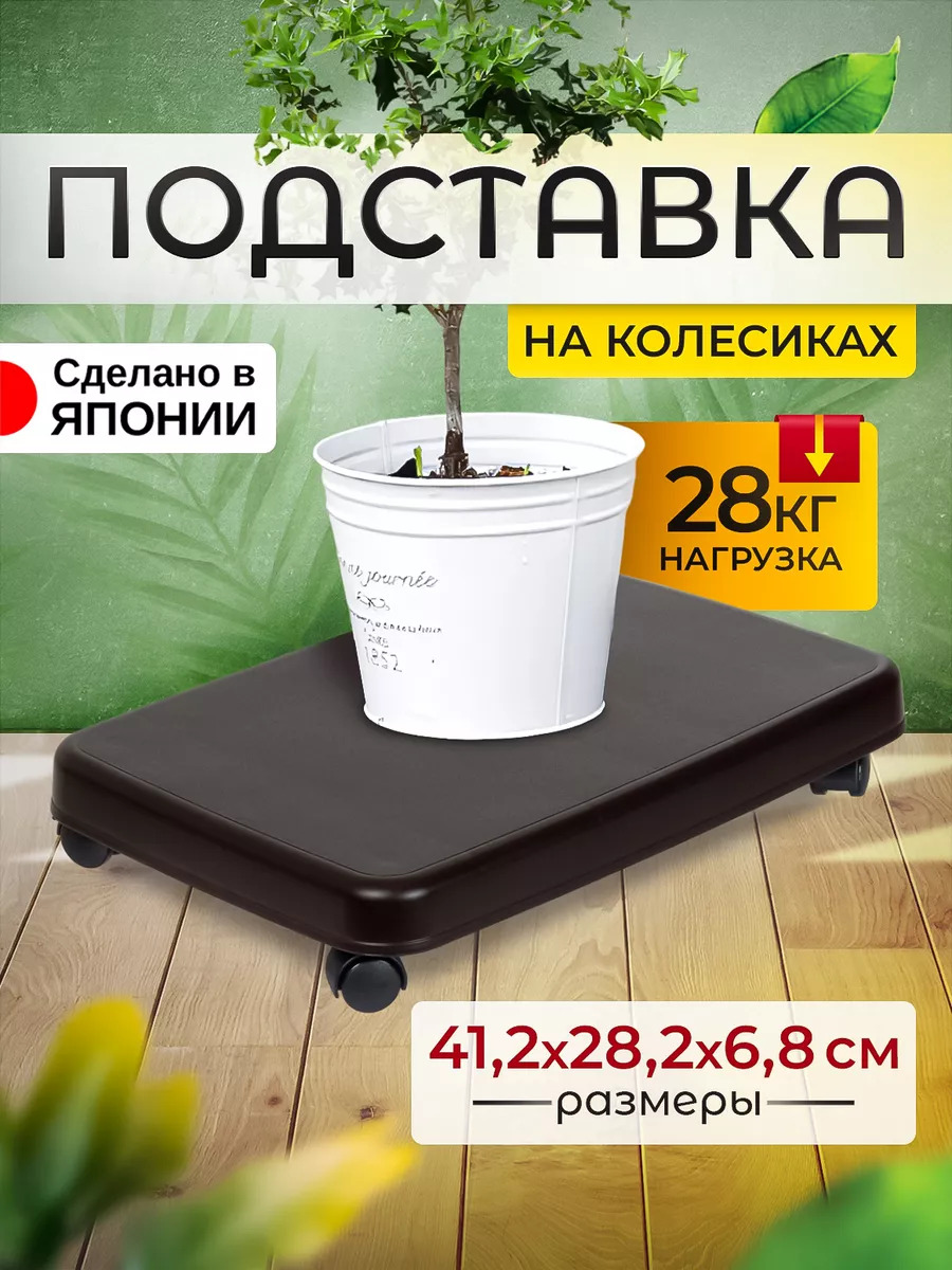 SO-405289_1