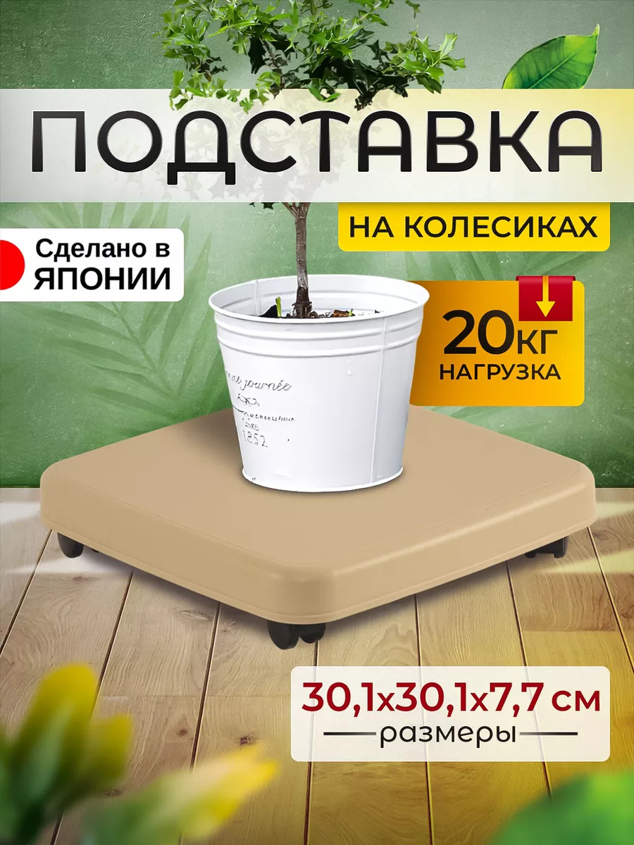 SO-403940_1
