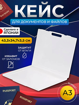 IZUMI / Органайзер для файлов АЗ 43,3*34,7*3,5 см 4303C