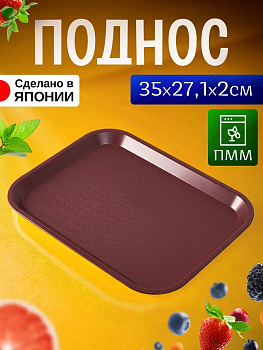 Поднос пластиковый прямоугольный 35х27,1х2 см, EN-134135
