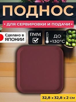 Поднос пластиковый квадратный для сервировки, 32,8х32,8х2 см, EN-111174