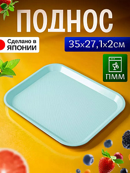 Поднос пластиковый прямоугольный 35х27,1х2 см, EN-134128
