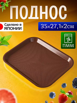 Поднос пластиковый прямоугольный 35х27,1х2 см, EN-134111