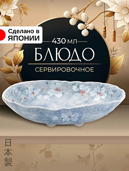 Блюдо сервировочное 430 мл 20,9х15х5,5 см, B-614861