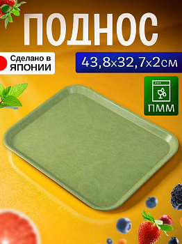 Поднос пластиковый прямоугольный 43,8х32,7х2 см, EN-111020