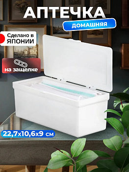 SANADA / Контейнер органайзер с крышкой универсальный 22,7*10,6*9 см L-8097