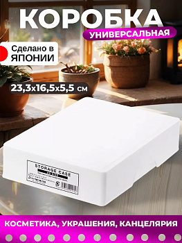 Кейс органайзер со съемной крышкой 23,3*16,5*5,5 см, J-9838