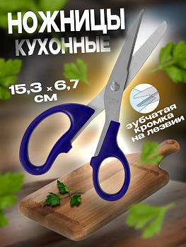 Ножницы кухонные универсальные 15,3х6,7х1 см, синий, PT-210516-BL