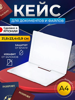 IZUMI / Органайзер для файлов А4 31,8*23,4*0,9 см 3058C