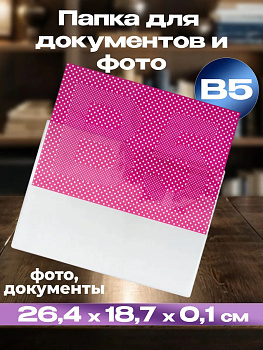 Чехол прозрачный для фотографий / Кейс для документов 26,4х18,7х0,1 см, В5, PT-042358