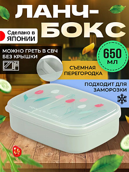 Ланч-бокс размер L / Контейнер для хранения готовых блюд 650 мл, 16х12х4,7 см, мятный, K-635B
