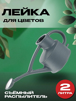 Лейка комнатная 2 л 45,5х14х20,3 см, R-702966
