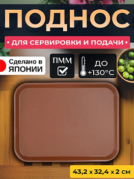 Лоток / Поднос пластиковый 43,4х32,6х2 см, EN-111105