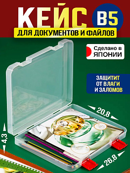 IZUMI / Органайзер для канцелярских принадлежностей и файлов B5 26,8*20,8*4,3 см красный, 3057R