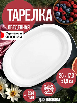 Тарелка обеденная овальная/блюдо/для пикника 26х17,3х1,9 см., EN-047077
