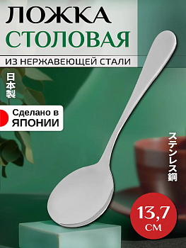 Ложка столовая, 13,7 см, T-005673