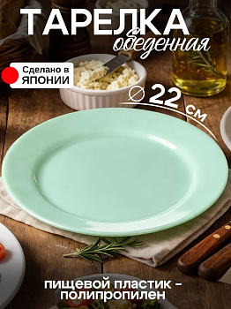Тарелка обеденная плаcтиковая зелёная Д22х1,7 см, K709-2