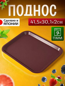 Поднос пластиковый прямоугольный 41,5х30,1х2 см, EN-134173