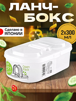 Ланч-бокс с двустворчатым открыванием крышки 600 мл 18,5*10,2*6,3 см, K-197