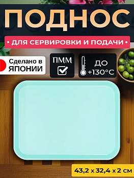 Лоток / Поднос пластиковый 43,4х32,6х2 см, EN-111112