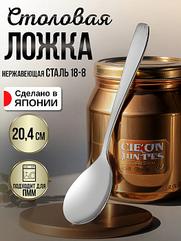 Ложка для супа / бульона, 20,4х4,7х0,3 см, TD-604043