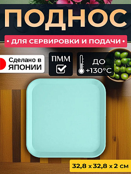 Поднос пластиковый квадратный для сервировки, 32,8х32,8х2 см, EN-111150