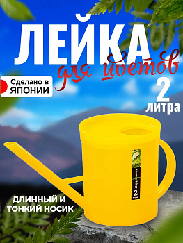 Лейка для цветов 2л, 32*14*17 см, TO-102081