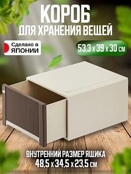 Органайзер для хранения с выдвижным ящиком / Органайзер для одежды / Ящик для вещей SO-418074