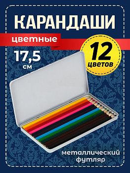 Набор цветных карандашей в футляре / Карандаш для творчества, заточенный, 12 шт, PT-040978